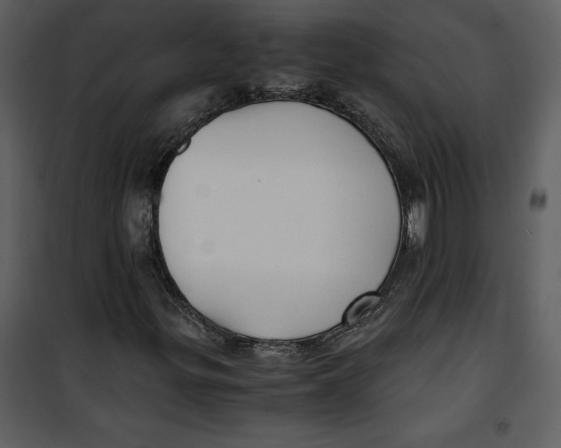 X0000100861299200807181126