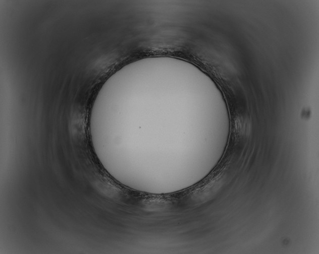 X0000100861300200807181126