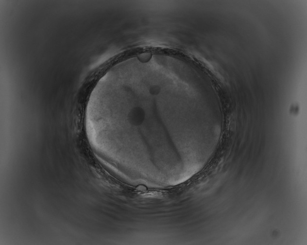 X0000100861303200807181126