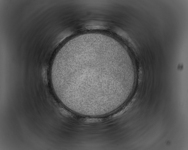 X0000100861305200807181126