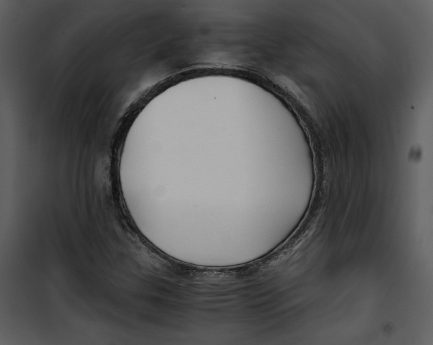 X0000100861307200807181126