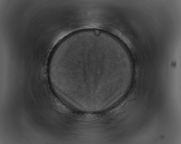 X0000100861308200807181126