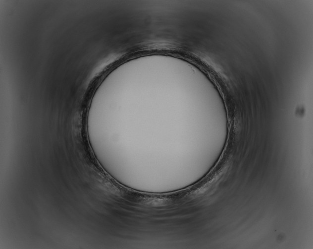 X0000100861309200807181126