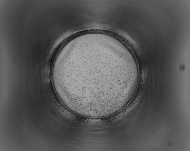 X0000100861310200807181126