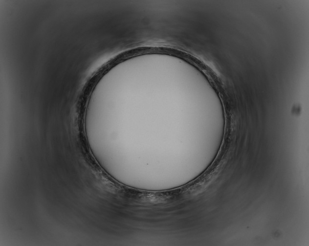 X0000100861311200807181126