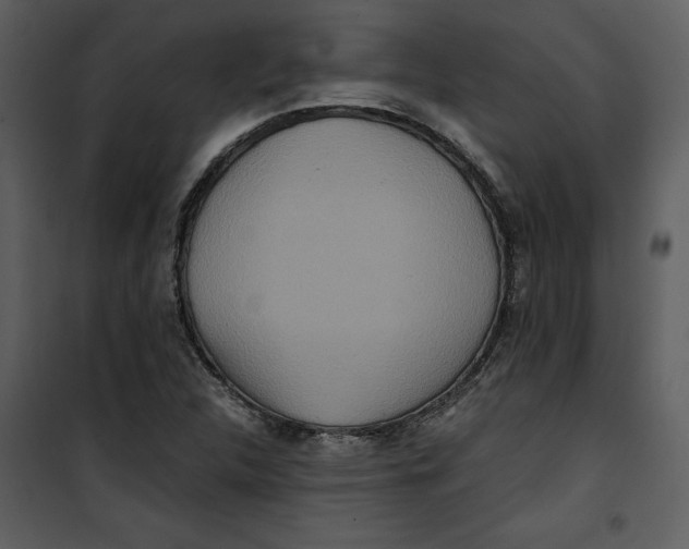 X0000100861312200807181126