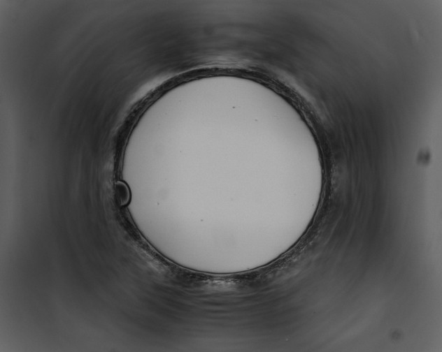 X0000100861315200807181127