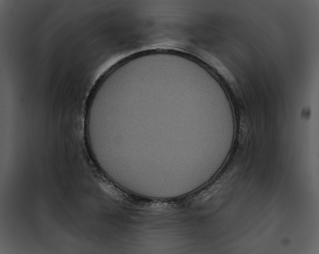 X0000100861316200807181127