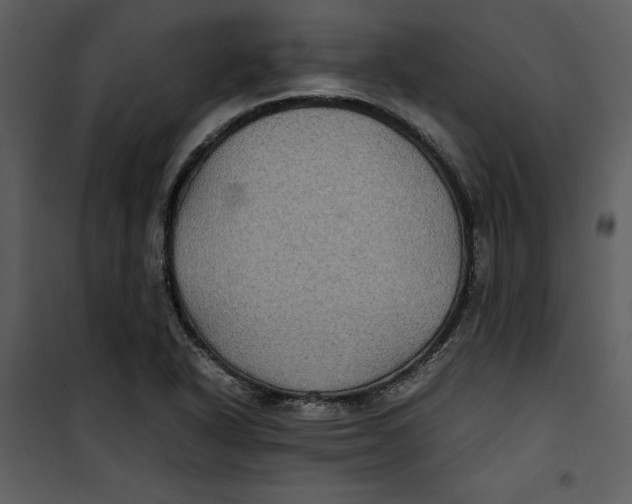 X0000100861318200807181127