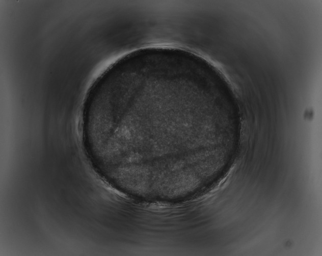 X0000100861319200807181127