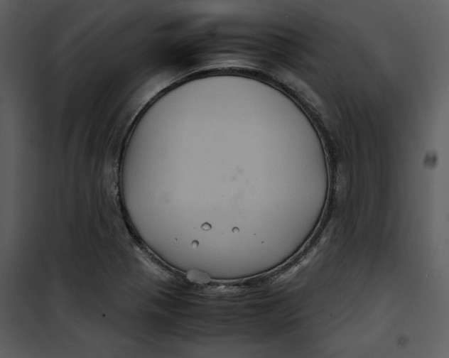 X0000100861321200807181127