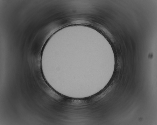 X0000100861322200807181127