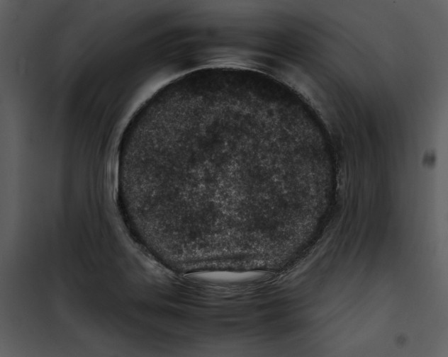 X0000100861323200807181127