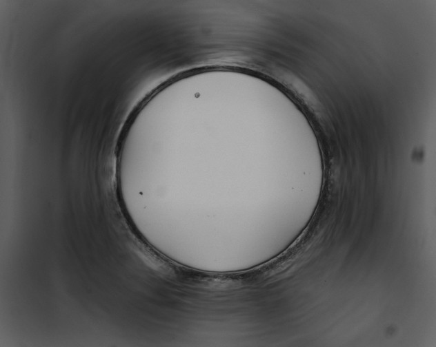 X0000100861324200807181127