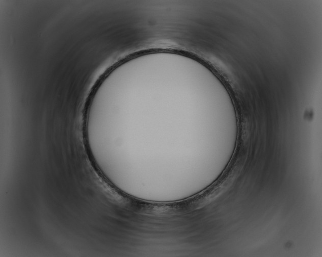 X0000100861326200807181127