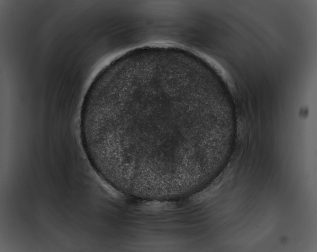 X0000100861327200807181127