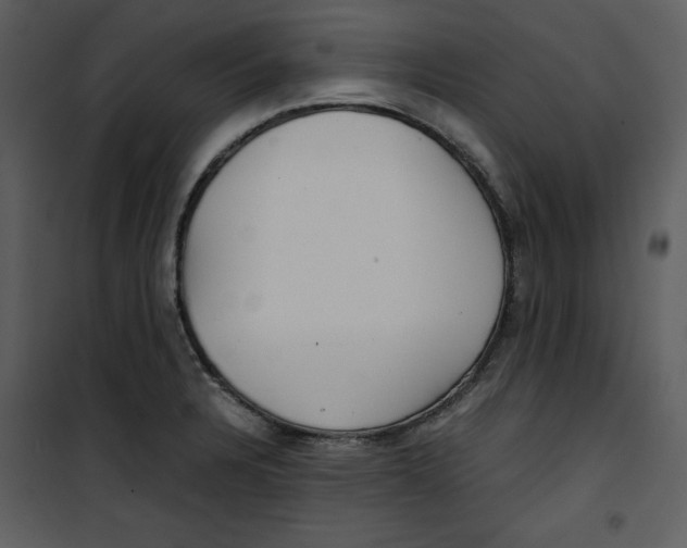 X0000100861328200807181127