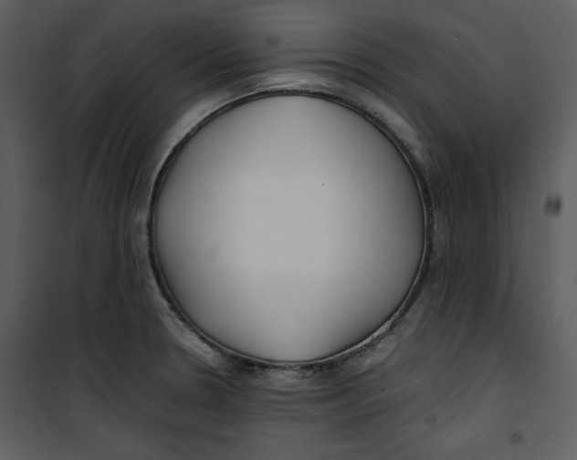 X0000100861330200807181127