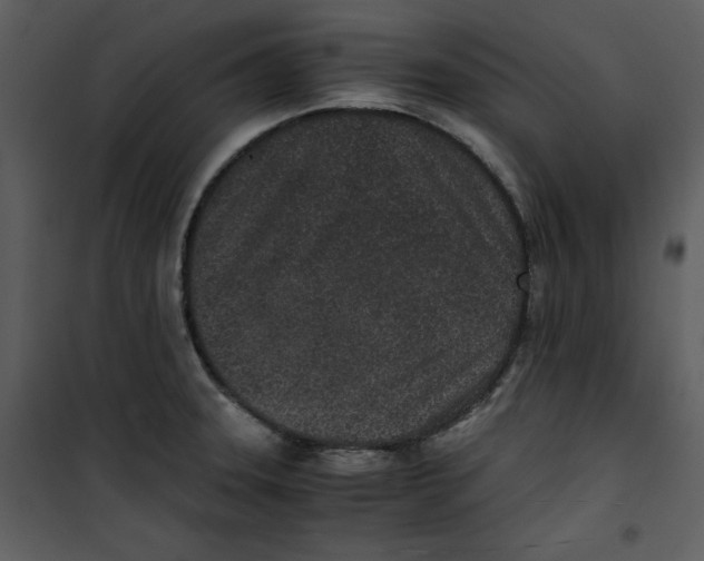 X0000100861331200807181127