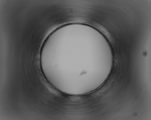 X0000100861332200807181127