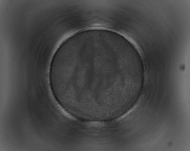 X0000100861333200807181127