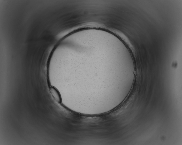 X0000100861335200807181127