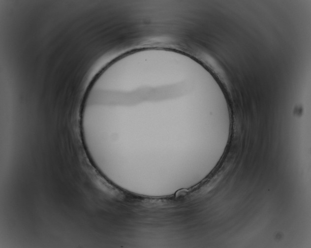 X0000100861336200807181127