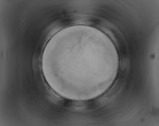 X0000100861338200807181127