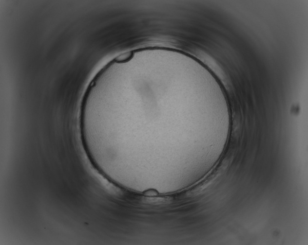 X0000100861339200807181127