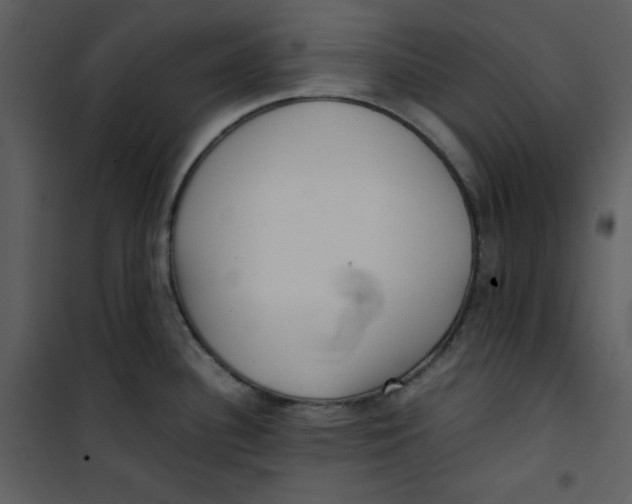 X0000100861340200807181127