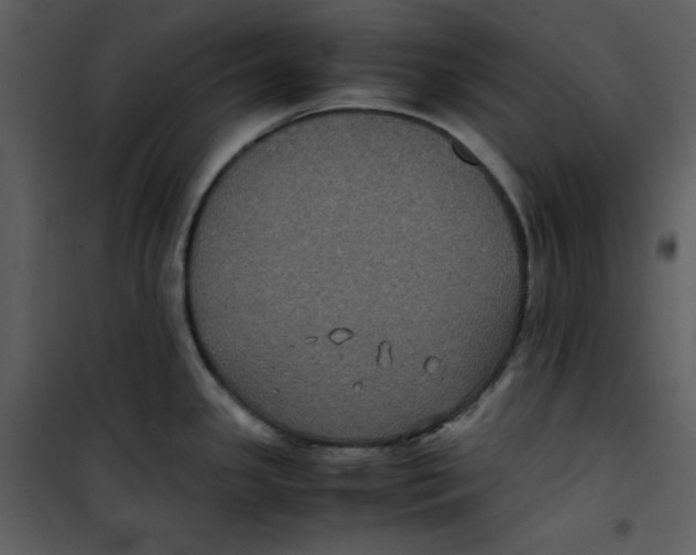 X0000100861341200807181127