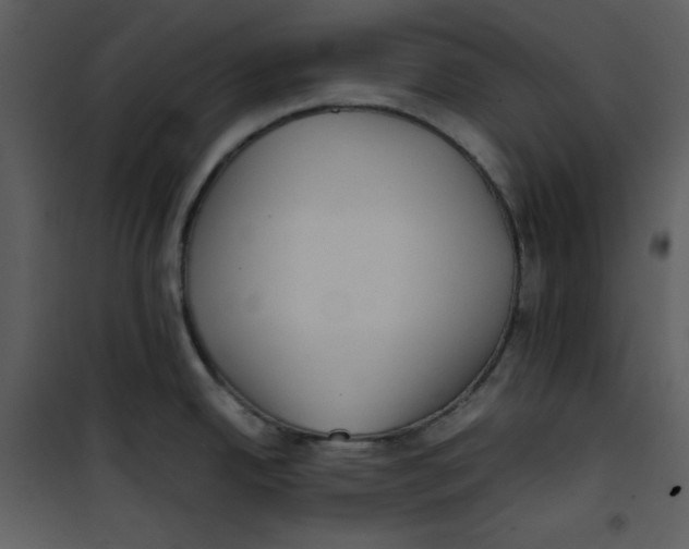 X0000100861342200807181127