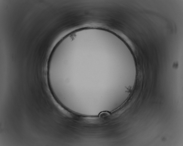 X0000100861343200807181127