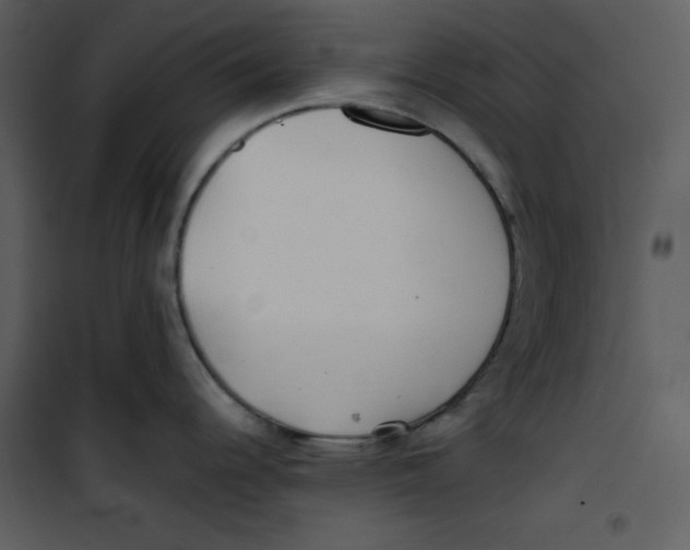 X0000100861344200807181127