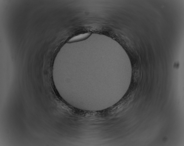 X0000100861345200807181126