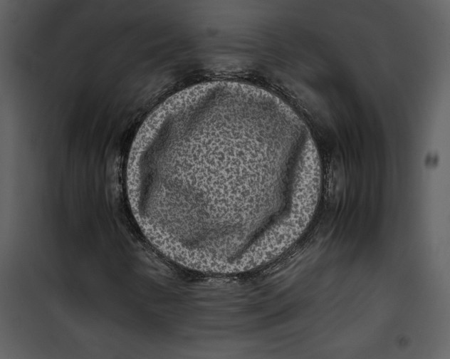 X0000100861346200807181126