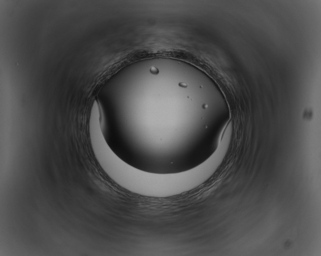 X0000100861348200807181126