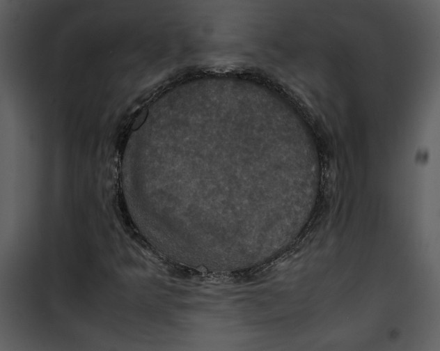 X0000100861349200807181126