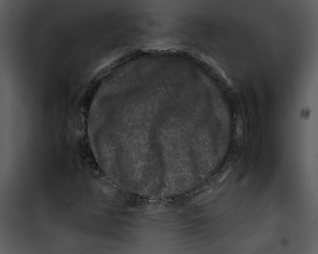 X0000100861350200807181126