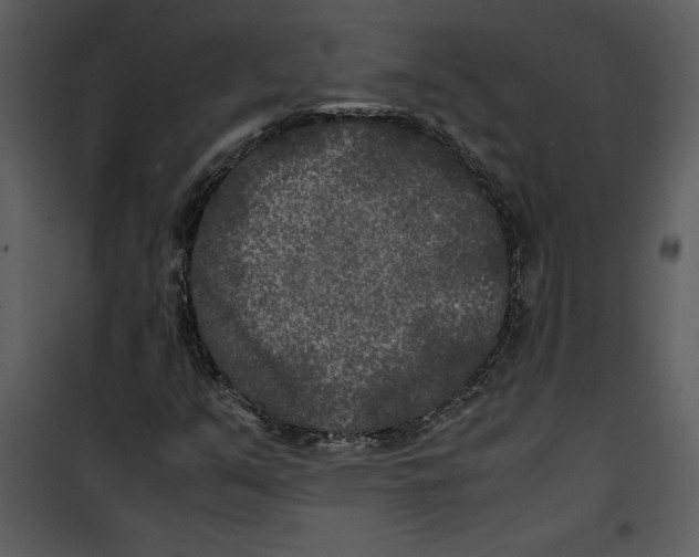 X0000100861351200807181126