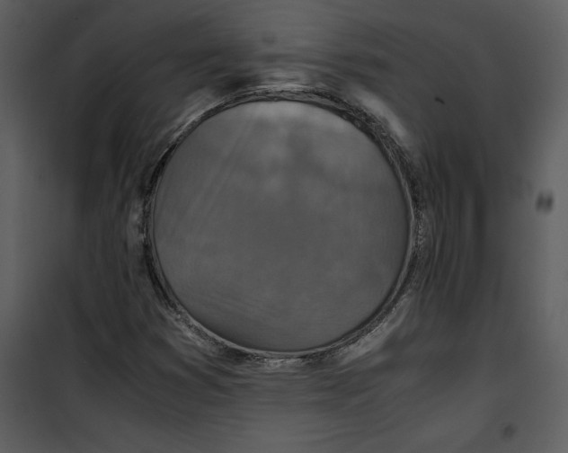 X0000100861353200807181126