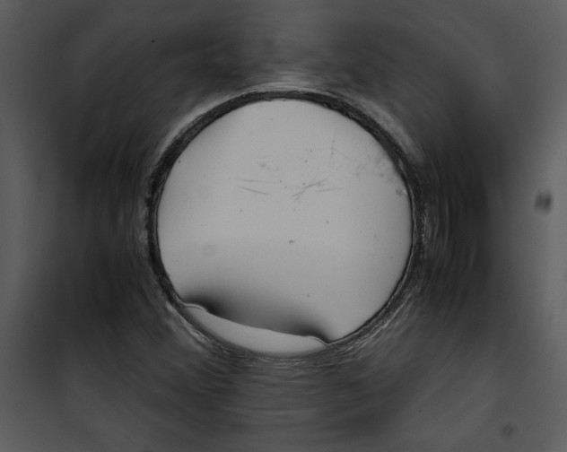 X0000100861356200807181126