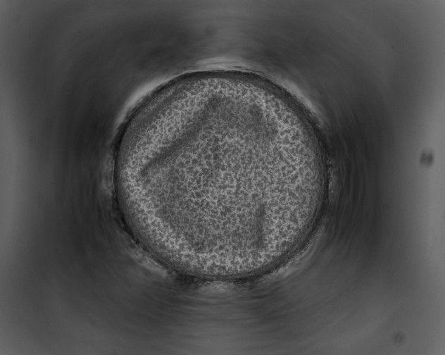 X0000100861358200807181126