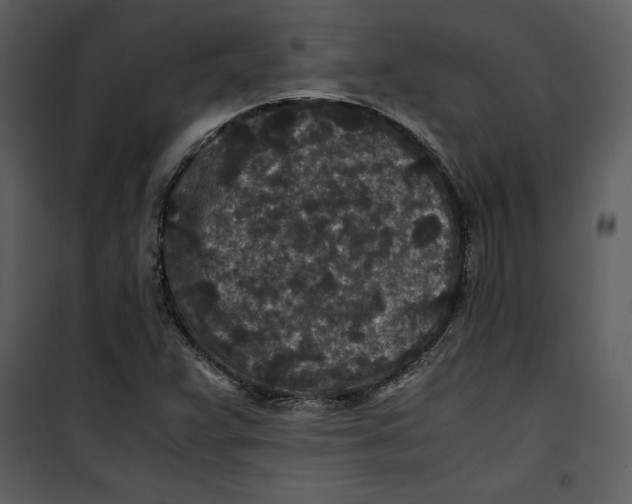 X0000100861359200807181126