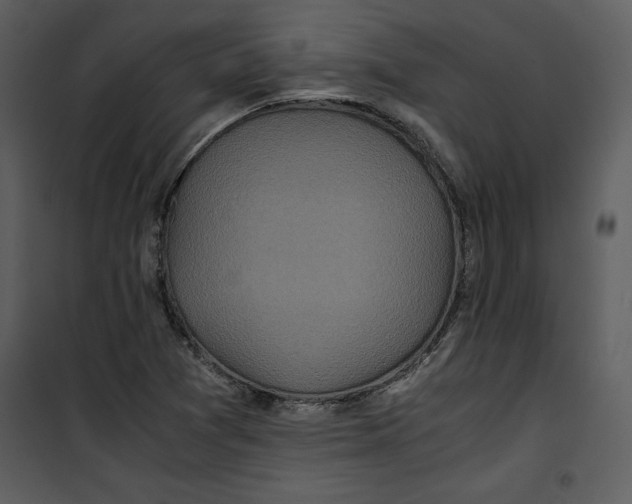 X0000100861361200807181126