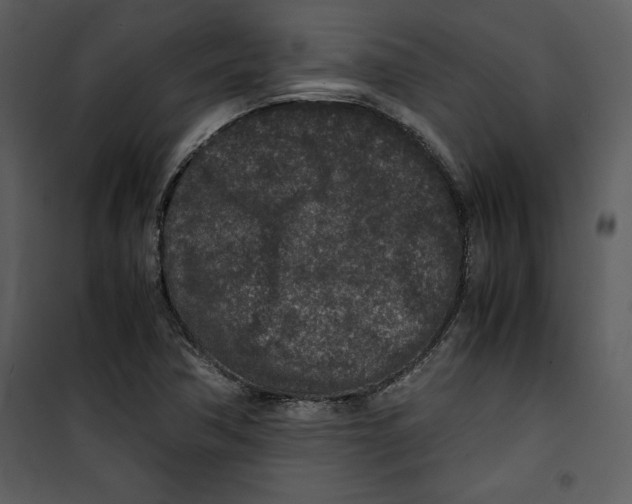 X0000100861362200807181126