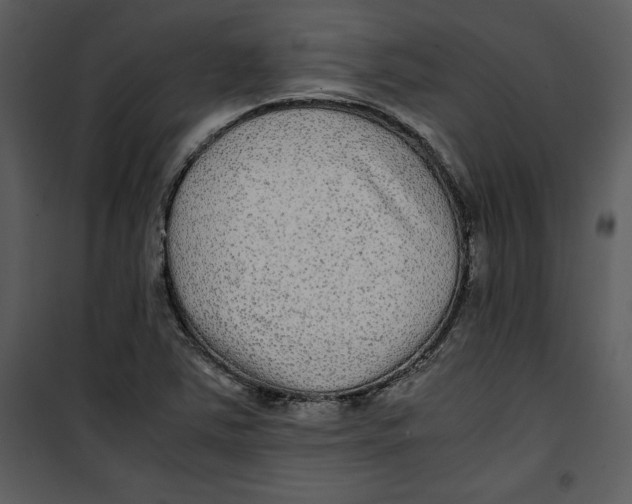 X0000100861363200807181126