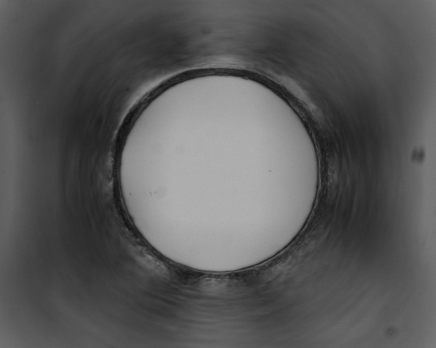 X0000100861364200807181126