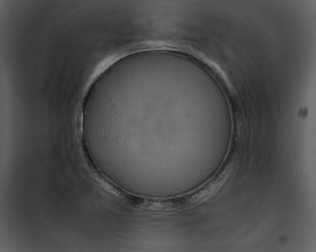 X0000100861365200807181126