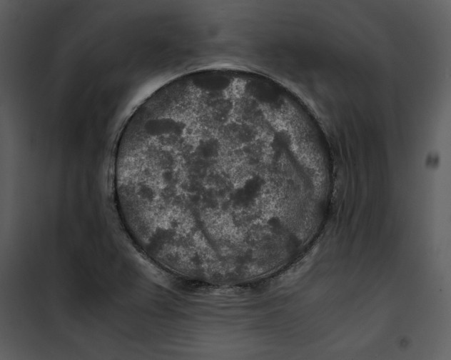 X0000100861367200807181126